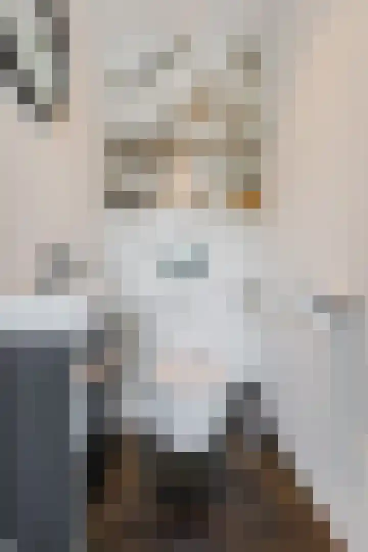 Damast 7 Geldrop thumbnail 44