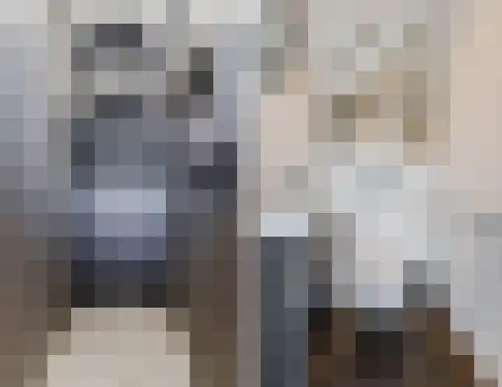 Damast 7 Geldrop thumbnail 45