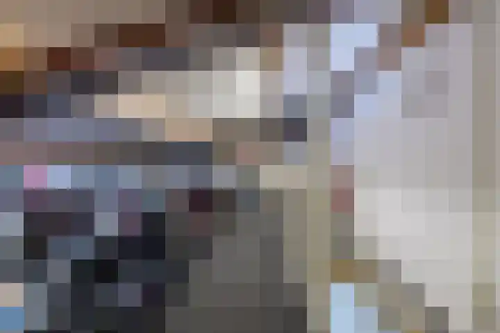 Damast 7 Geldrop thumbnail 46