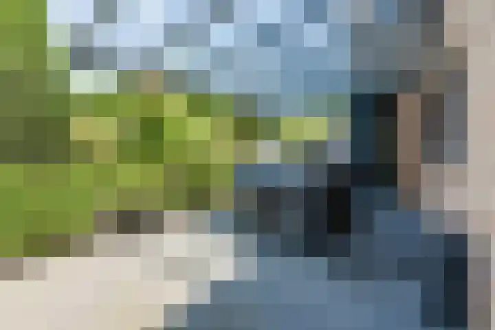Damast 7 Geldrop thumbnail 52