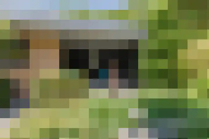 Damast 7 Geldrop thumbnail 54