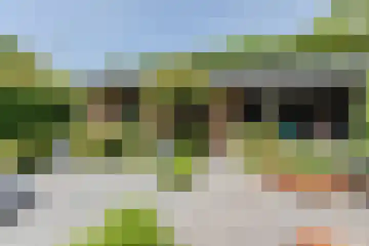 Damast 7 Geldrop thumbnail 55
