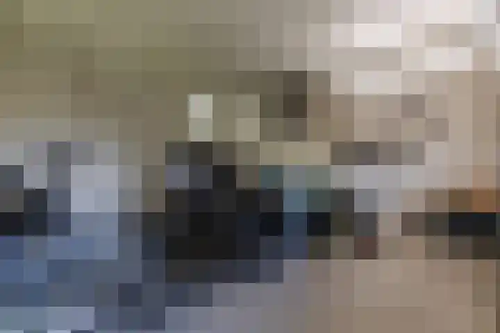 Damast 7 Geldrop thumbnail 57