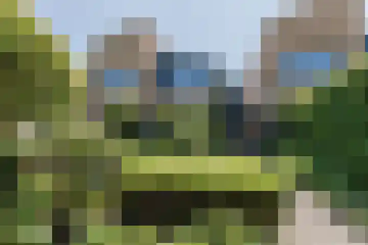 Damast 7 Geldrop thumbnail 60