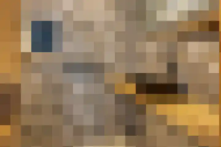 Damast 7 Geldrop thumbnail 9