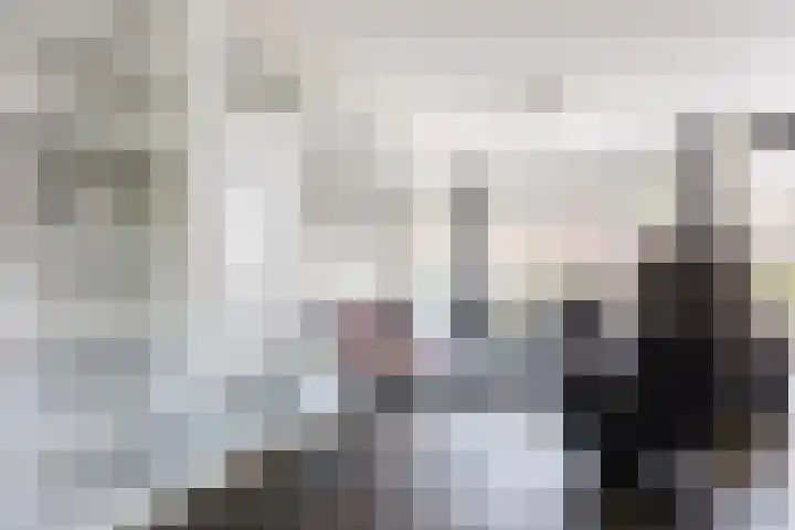 Damast 7 Geldrop thumbnail 9