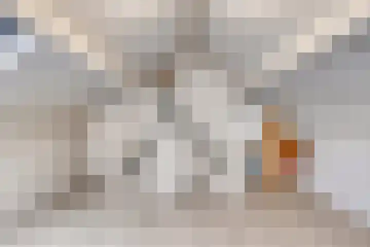 Damastberg 139 Roosendaal thumbnail 30