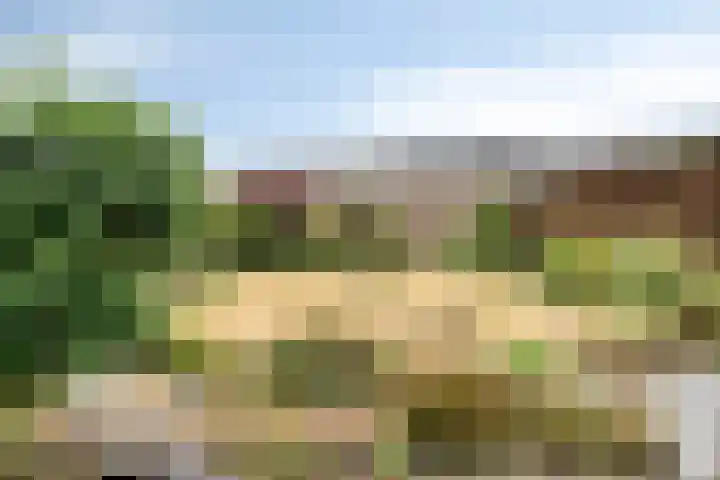 Damastberg 139 Roosendaal thumbnail 36