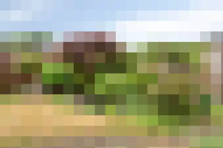 Damastberg 139 Roosendaal thumbnail 37