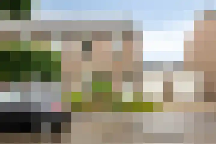 Damastberg 139 Roosendaal thumbnail 38