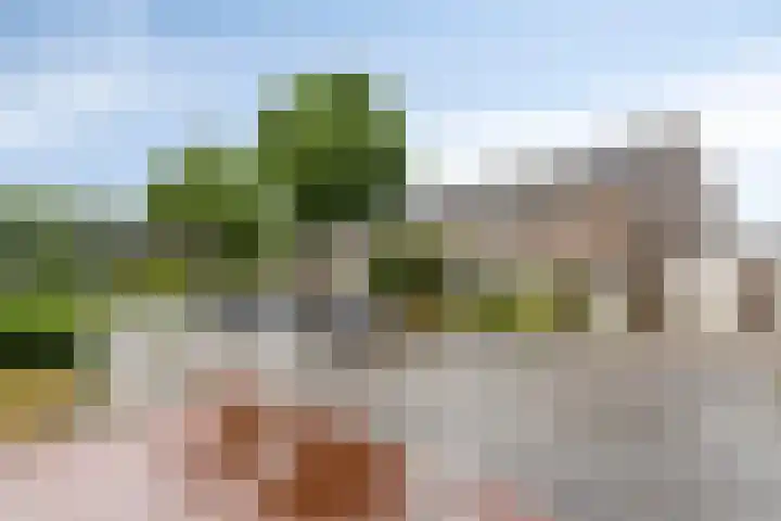 Damastberg 139 Roosendaal thumbnail 39