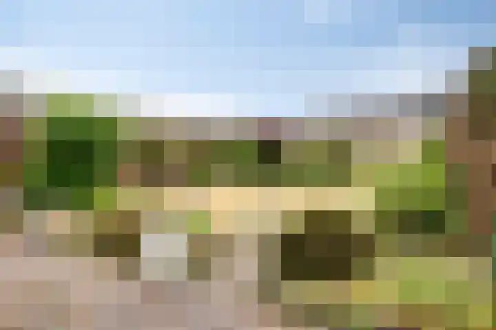 Damastberg 139 Roosendaal thumbnail 4