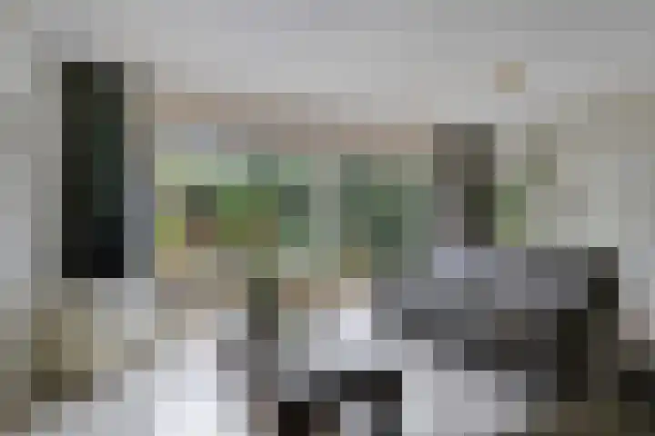 Damastberg 64 Roosendaal thumbnail 7