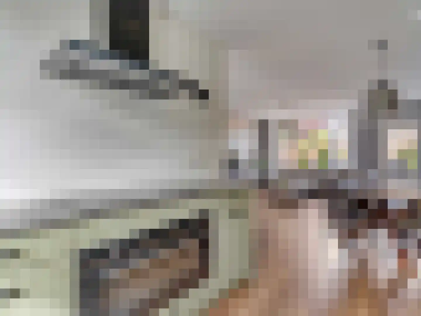 Damastbloem 30 Breukelen thumbnail 15