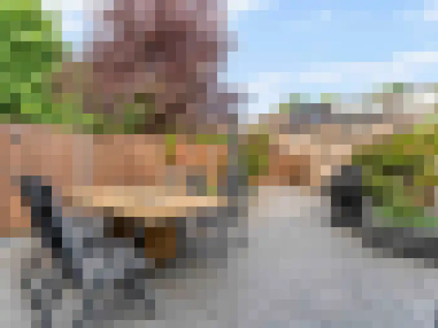 Damastbloem 30 Breukelen thumbnail 31