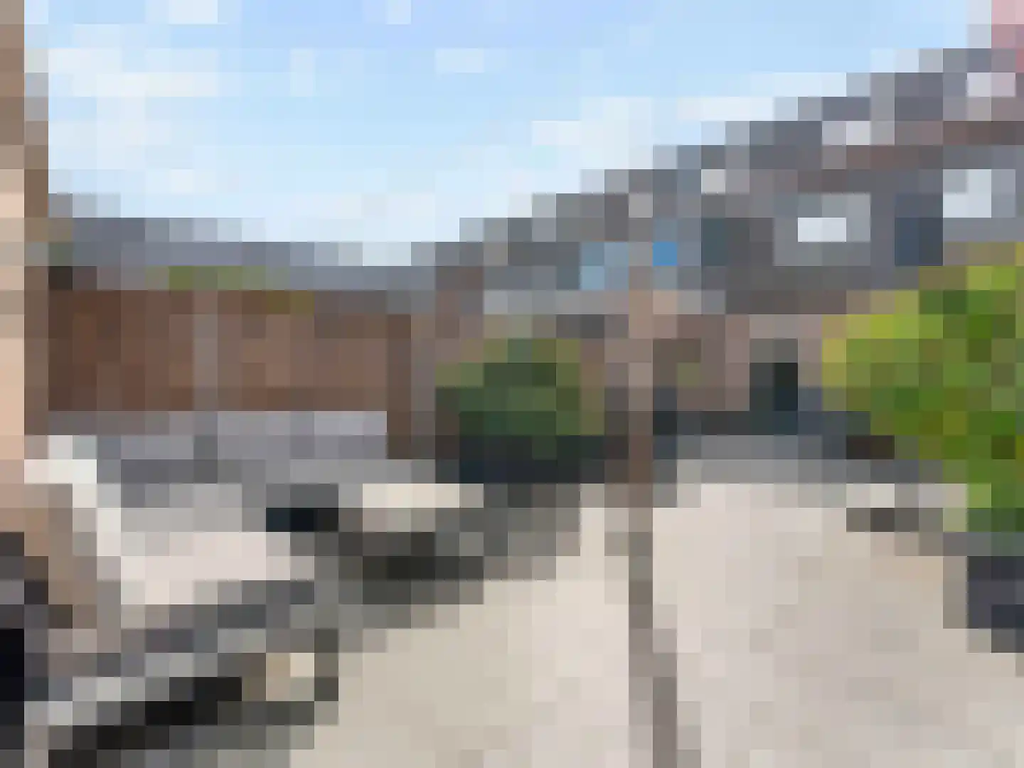Damastbloem 30 Breukelen thumbnail 34