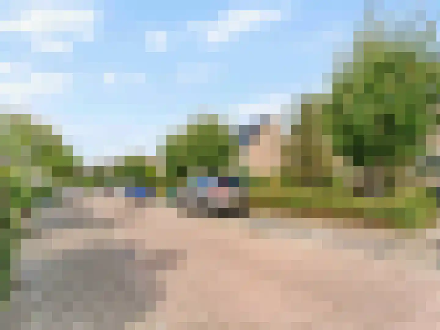 Damastbloem 30 Breukelen thumbnail 36