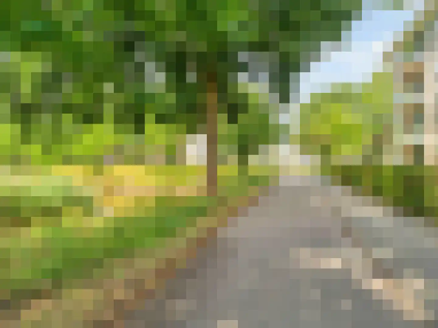 Damastbloem 30 Breukelen thumbnail 37
