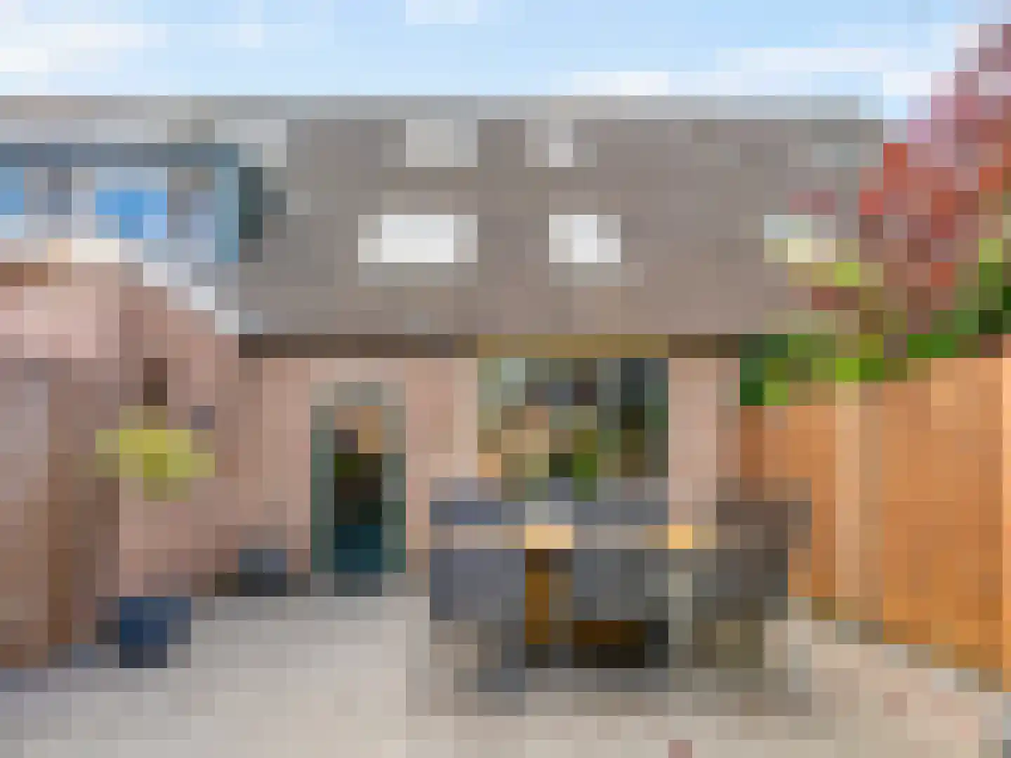 Damastbloem 30 Breukelen thumbnail 4
