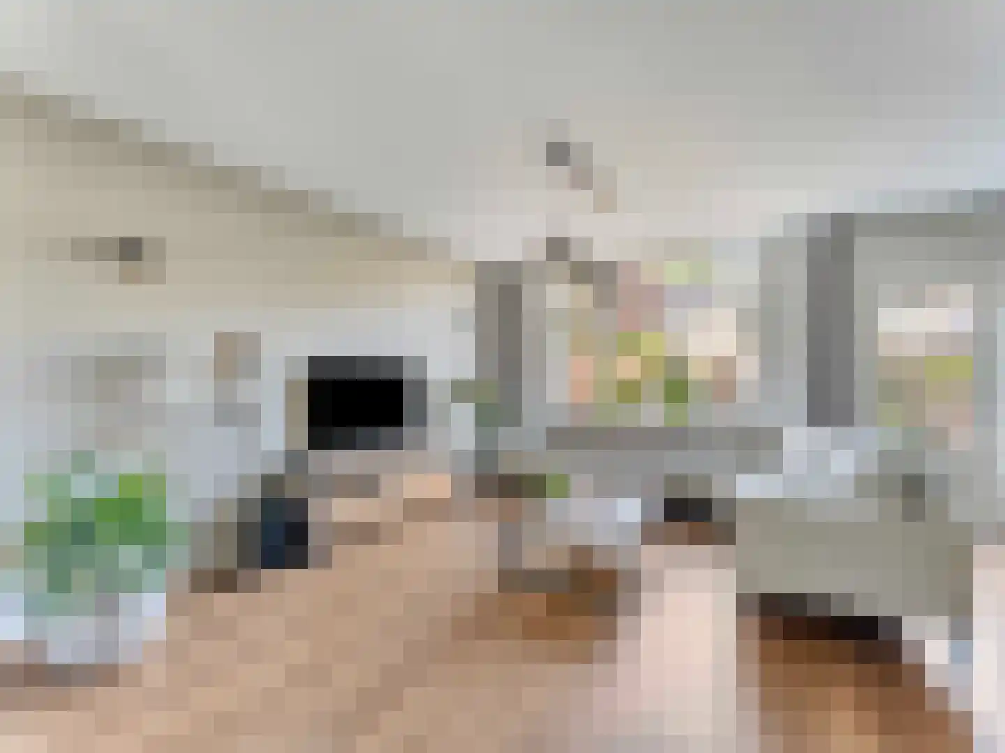Damastbloem 30 Breukelen thumbnail 9