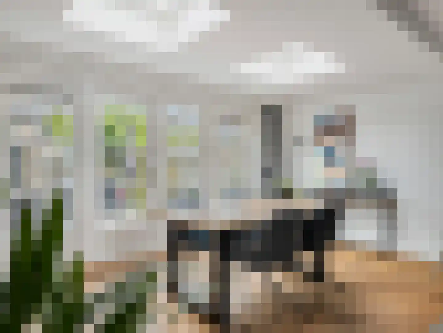 Damastbloem 6 Breukelen thumbnail 11