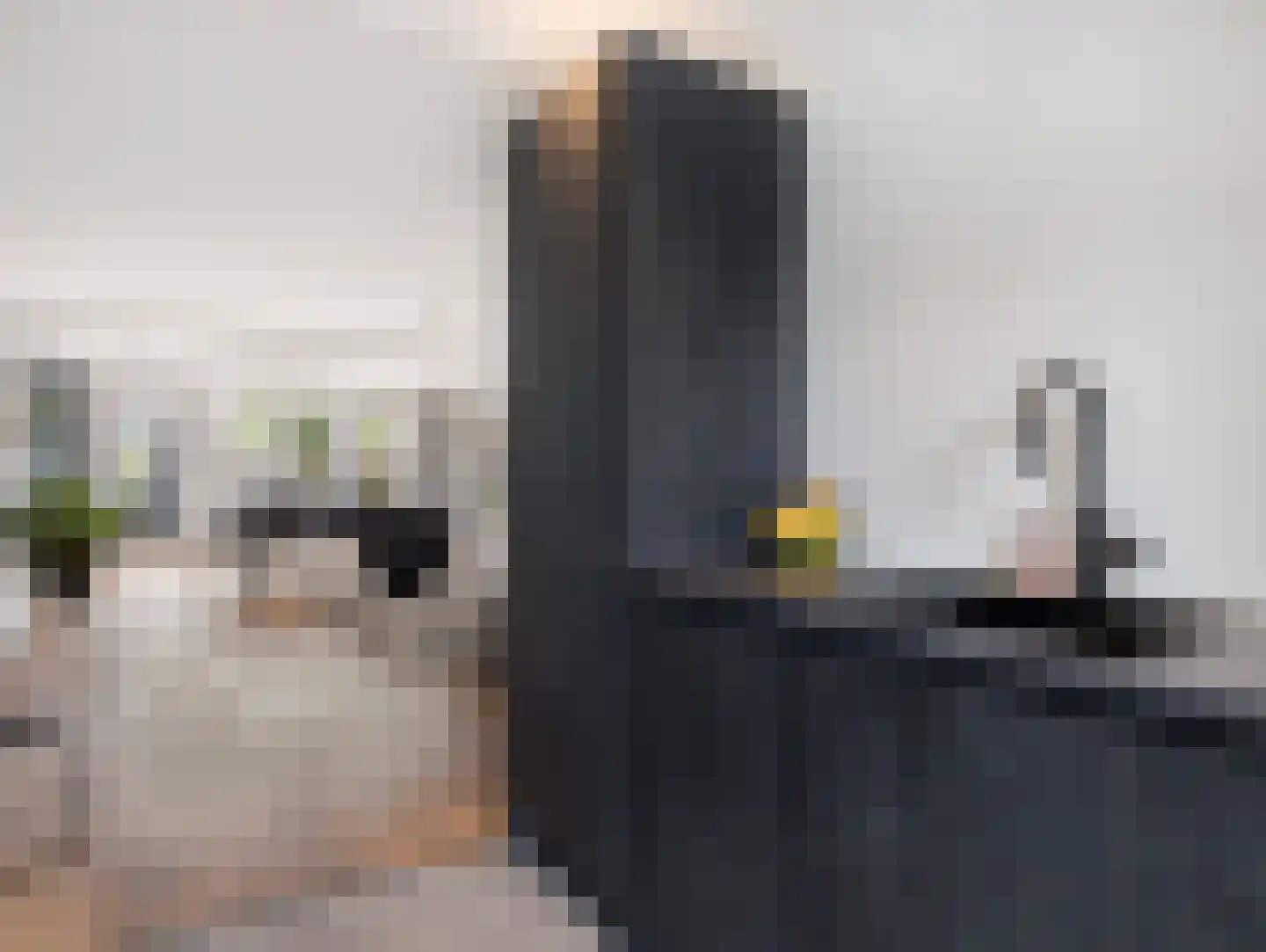 Damastbloem 6 Breukelen thumbnail 20