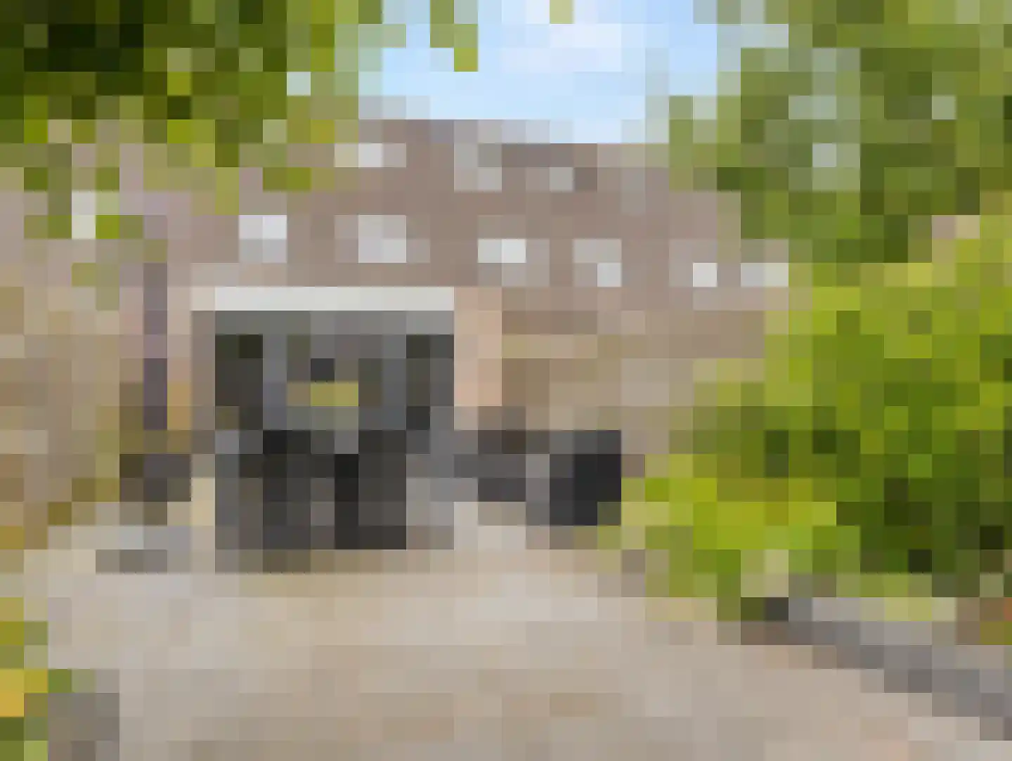 Damastbloem 6 Breukelen thumbnail 33