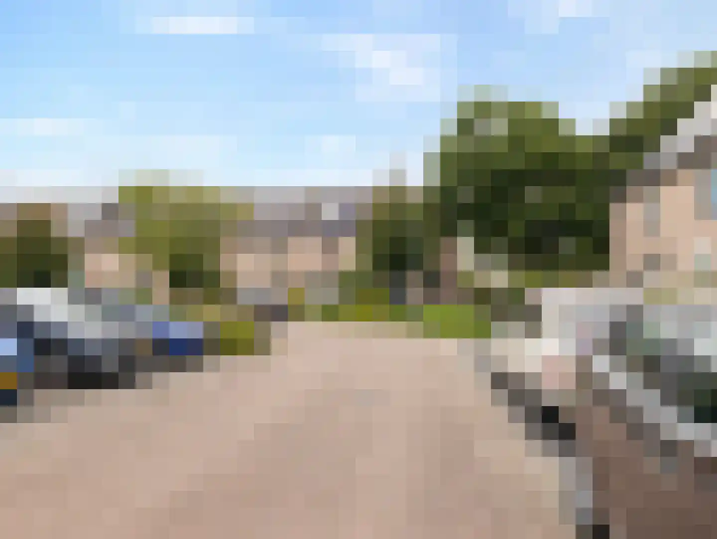 Damastbloem 6 Breukelen thumbnail 37