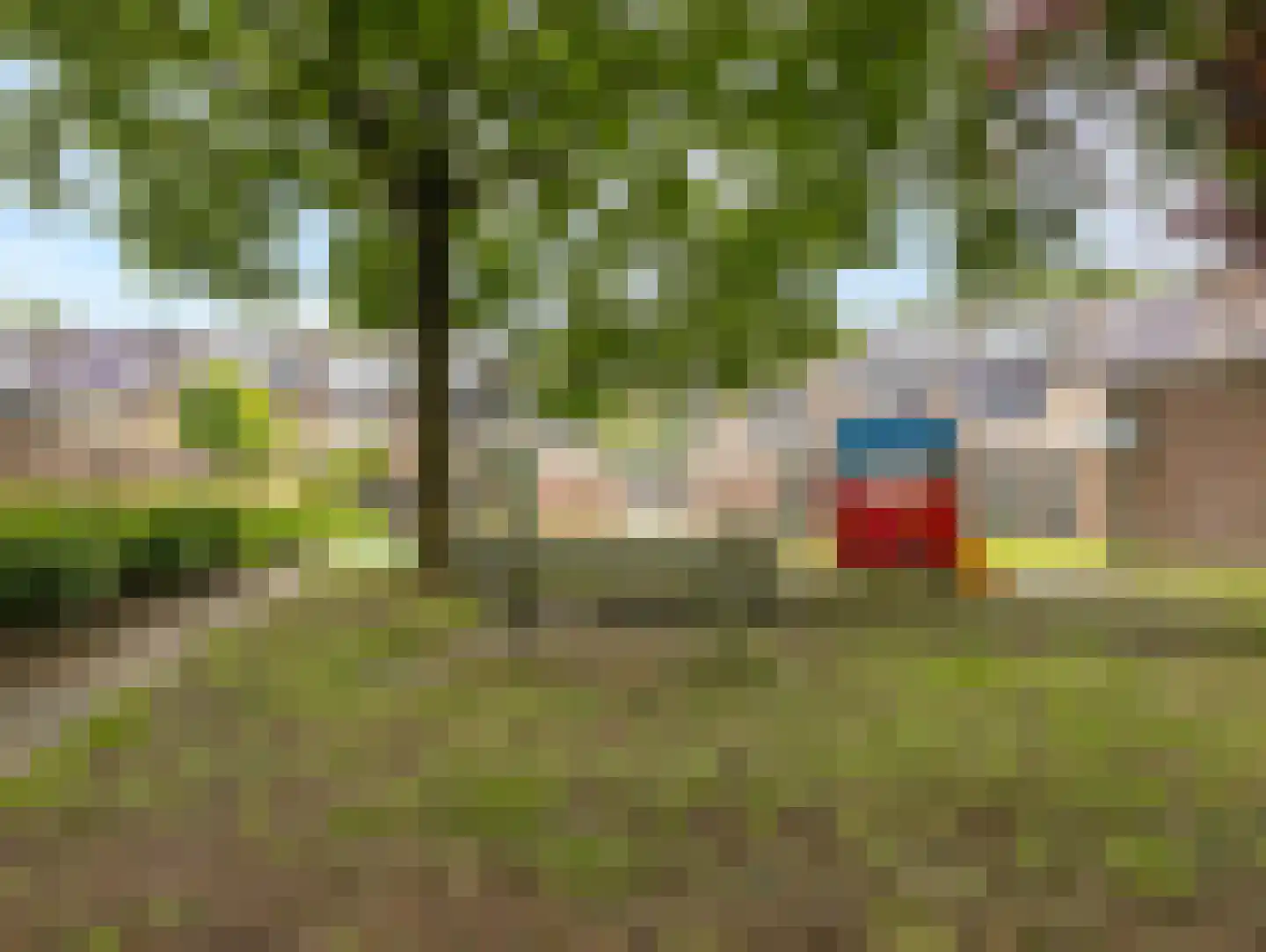 Damastbloem 6 Breukelen thumbnail 38