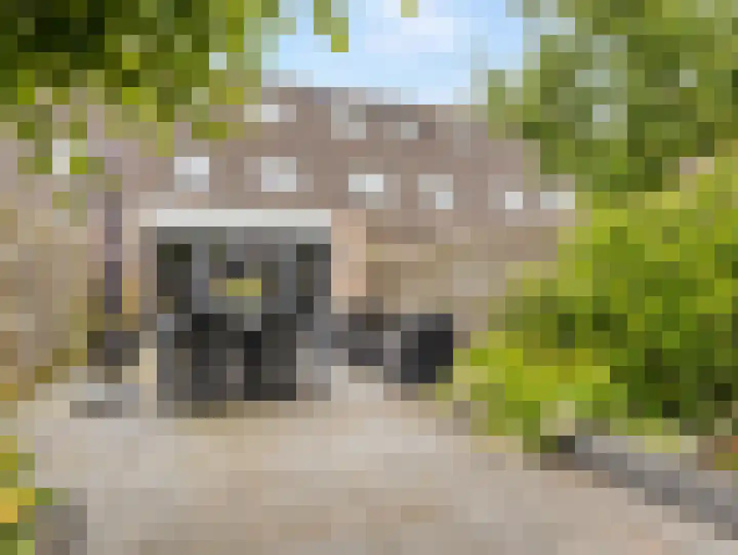 Damastbloem 6 Breukelen thumbnail 5
