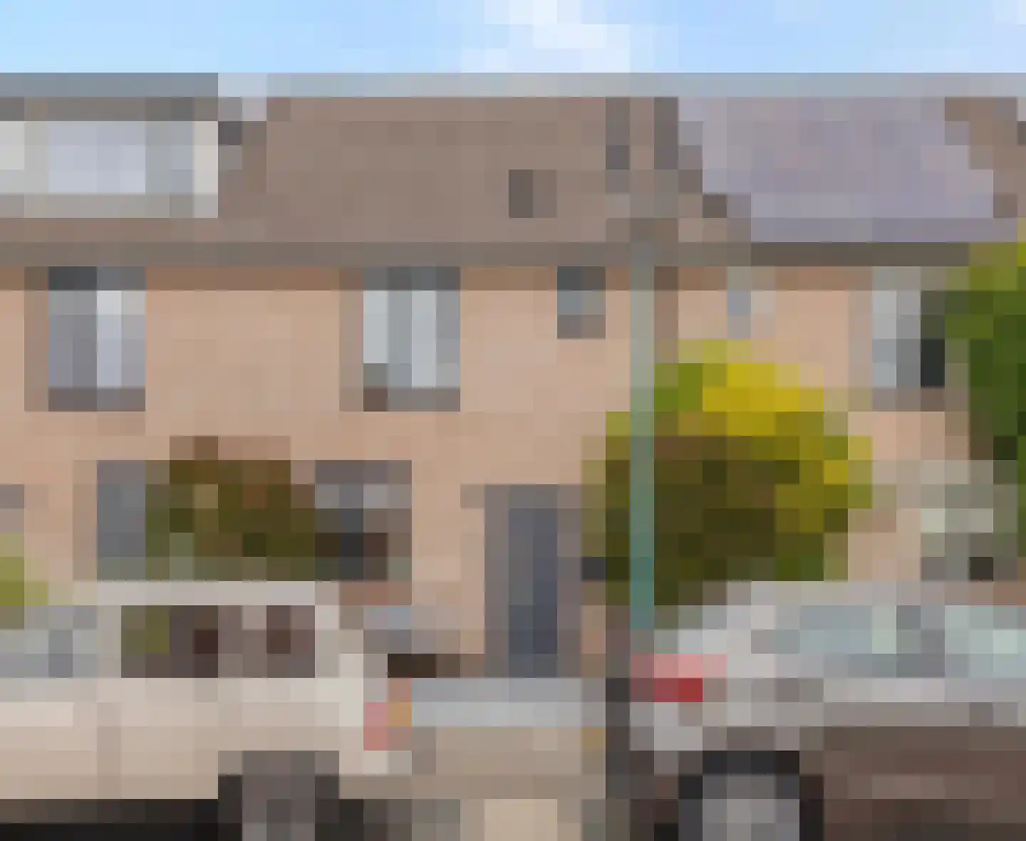 Damastbloem 6 Breukelen thumbnail 6