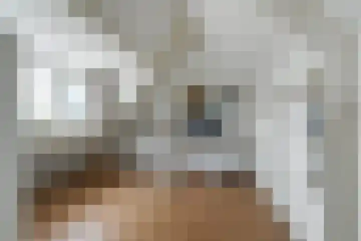 Damasthof 12 Boxtel thumbnail 37