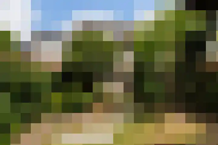 Damasthof 12 Boxtel thumbnail 41