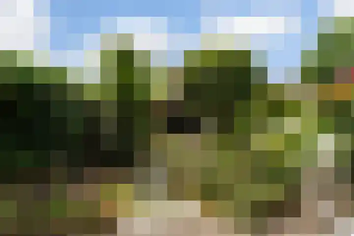 Damasthof 12 Boxtel thumbnail 44