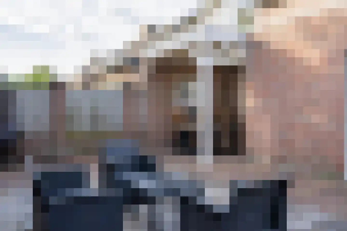 Damastroosstraat 19 Bakel thumbnail 31