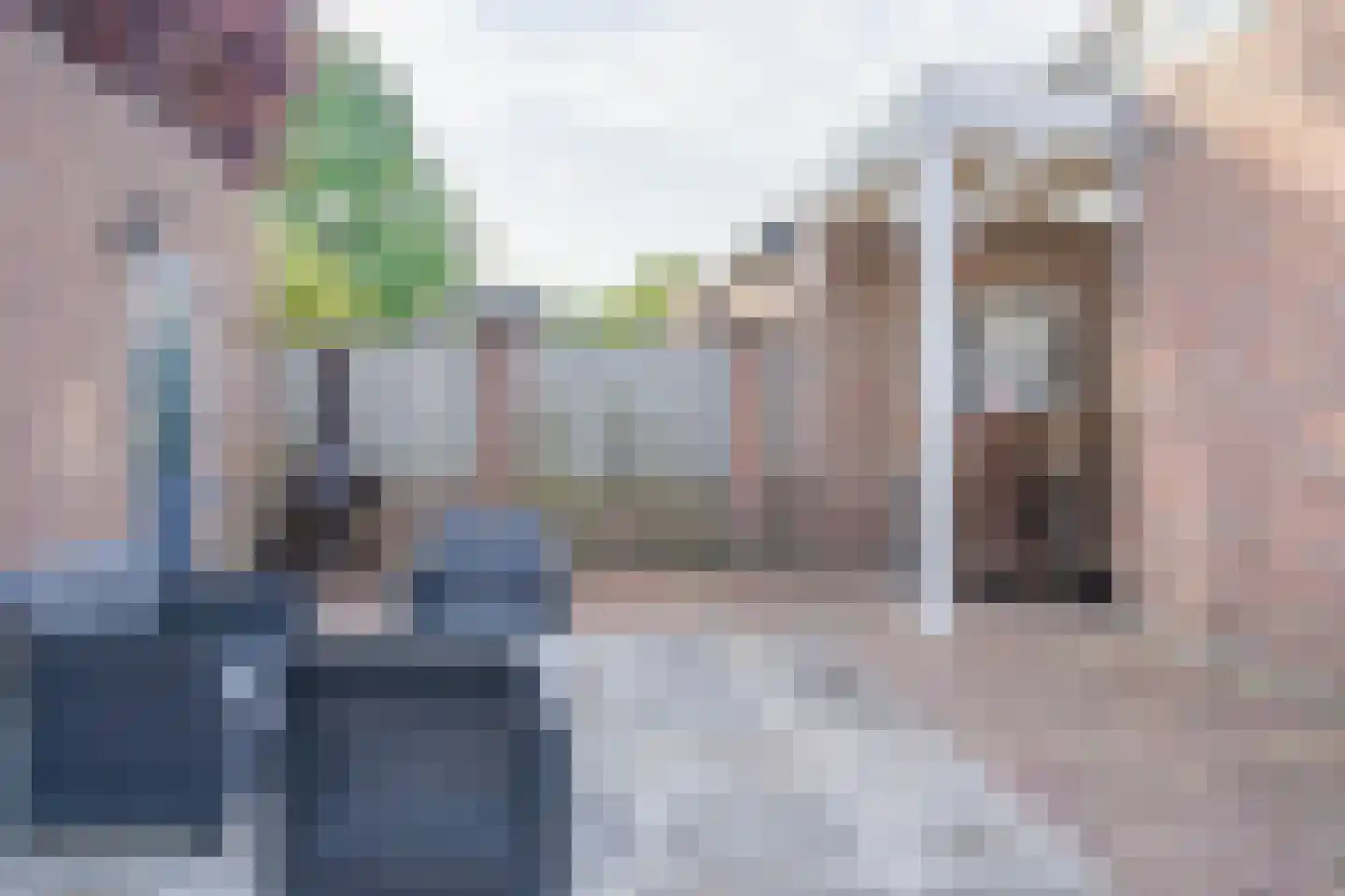 Damastroosstraat 19 Bakel thumbnail 33