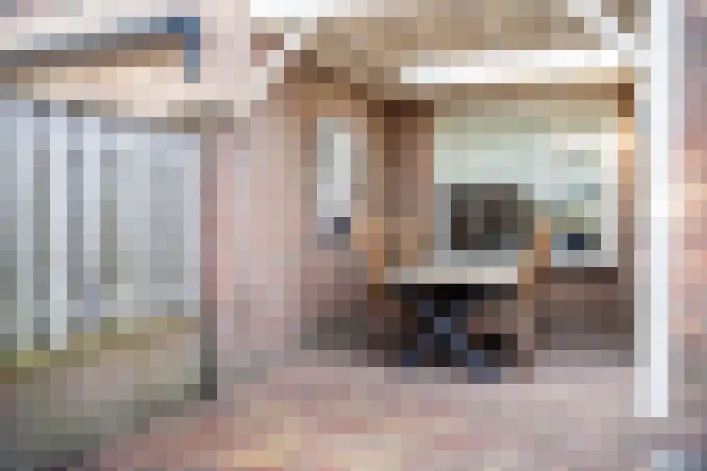 Damastroosstraat 19 Bakel thumbnail 35