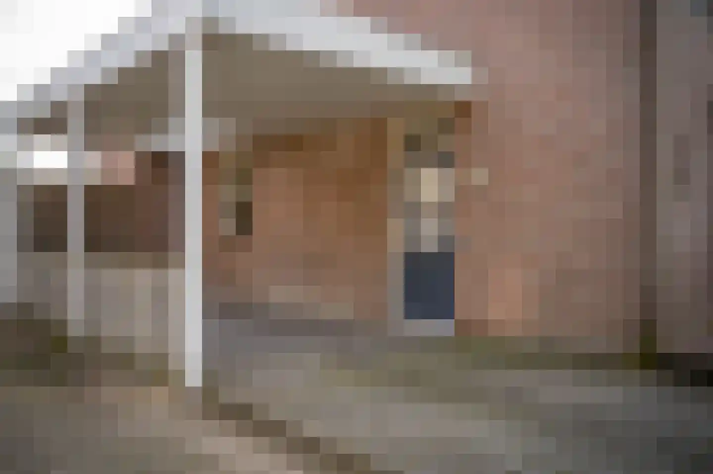 Damastroosstraat 19 Bakel thumbnail 7