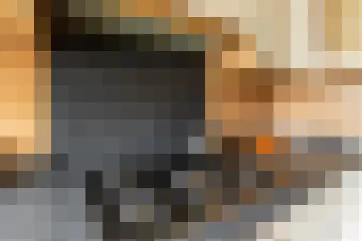 Damaststraat 16 's-Gravendeel thumbnail 11