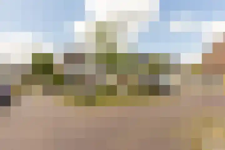 Damaststraat 16 's-Gravendeel thumbnail 32