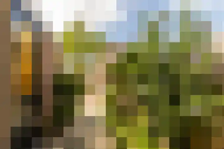 Damaststraat 16 's-Gravendeel thumbnail 34