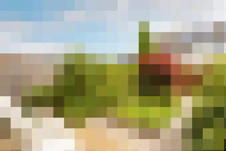 Damaststraat 16 's-Gravendeel thumbnail 36