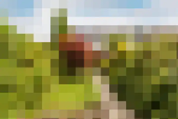 Damaststraat 16 's-Gravendeel thumbnail 37