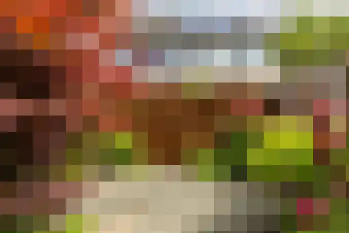 Damaststraat 16 's-Gravendeel thumbnail 38