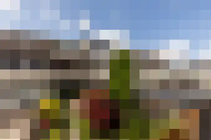 Damaststraat 16 's-Gravendeel thumbnail 4