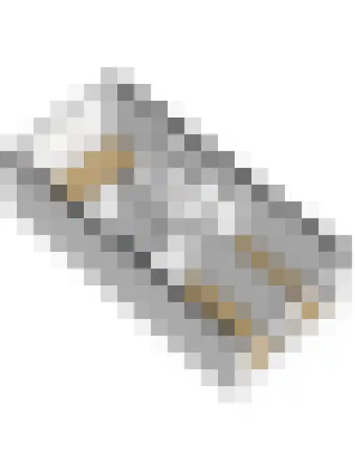 Damaststraat 16 's-Gravendeel thumbnail 43