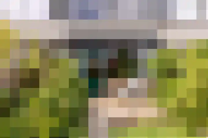 Damaststraat 16 's-Gravendeel thumbnail 5