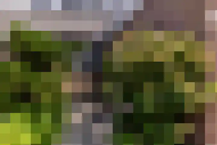 Damaststraat 16 's-Gravendeel thumbnail 6