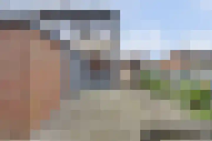 Damaststraat 23 's-Gravendeel thumbnail 40
