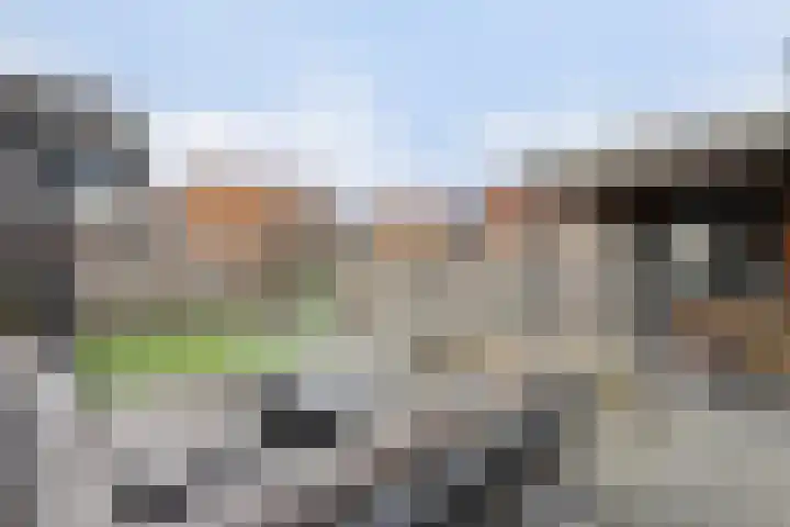 Damaststraat 23 's-Gravendeel thumbnail 41